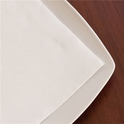 Servilletas tissue 20 × 20 cm, 2 capas «double point», blancas